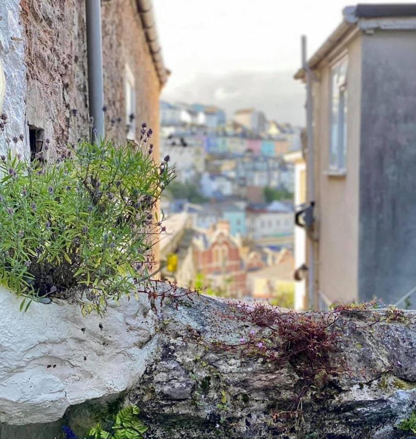 Saltys Cottage, Brixham - 2 Min Walk To The Harbour Exterior photo